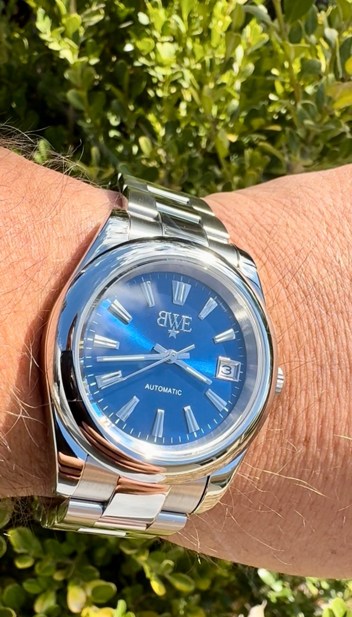 Llano - Bluebonnet 40